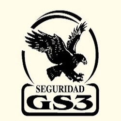 GS3 División de Seguridad